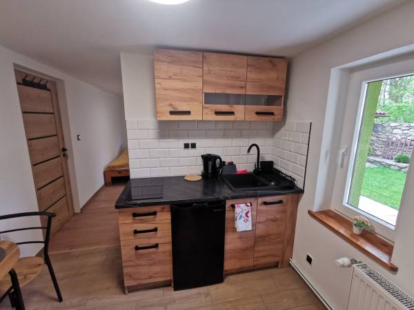 Kuchnia mały apartamencik