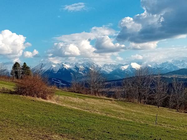 Pokoje Gościnne Rzepka 