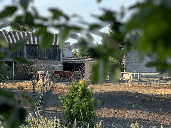 Pensjonat Błękitna Przystań