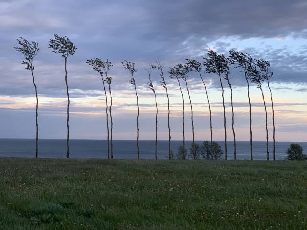 Pensjonat Błękitna Przystań