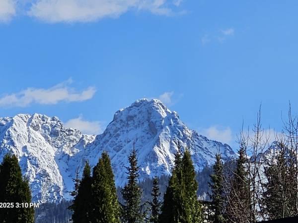 Apartament Regle & SPA