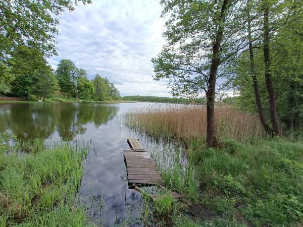 Mazury. Domek pod lasem