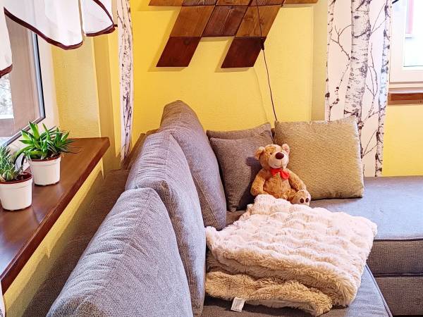 Domek Brzozowy Zakątek sauna, jacuzzi