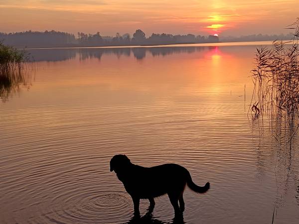 Domek Brzozowy Zakątek sauna, jacuzzi