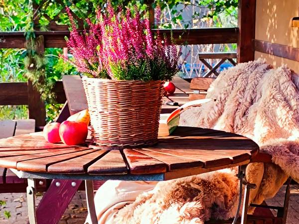 Domek Brzozowy Zakątek sauna, jacuzzi