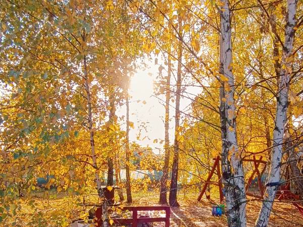 Domek Brzozowy Zakątek sauna, jacuzzi