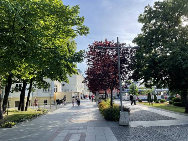 Apartamenty Malachit