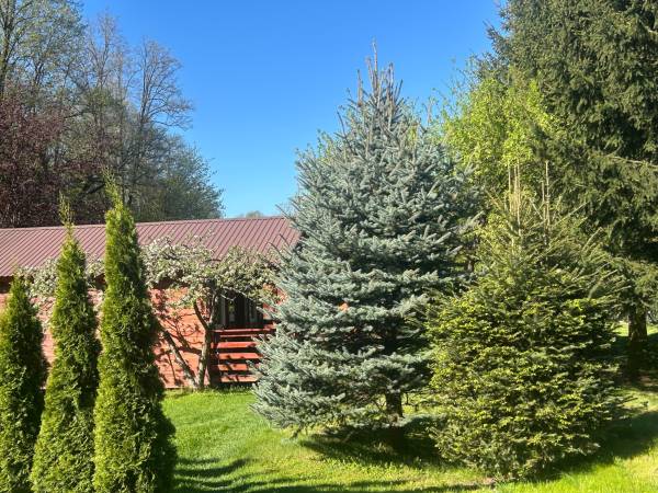 Domki Letniskowe W Ogrodzie