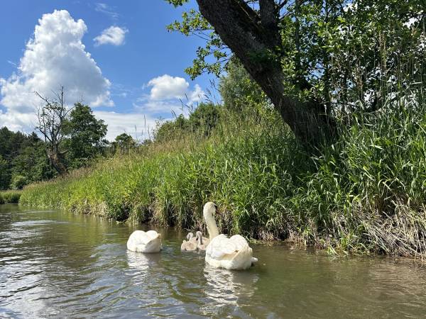 Agroturystyka Pod Lasem