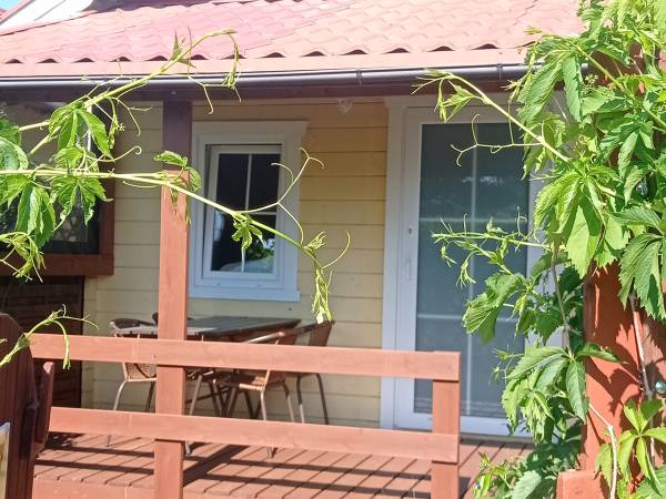 Domki letniskowe Lentia 