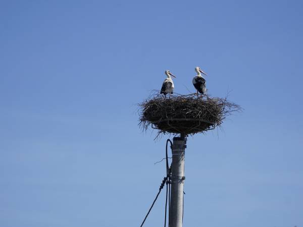  Odargowo - domki letniskowe nad morzem