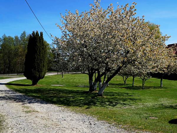  Odargowo - domki letniskowe nad morzem