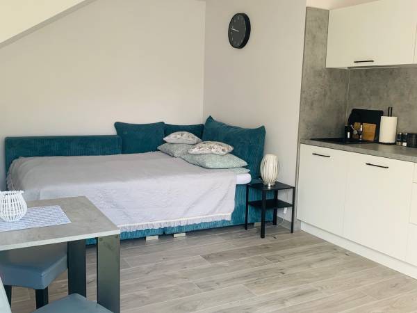 Pokój nr 4 z łazienka i aneksem