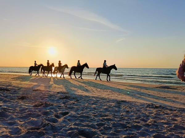 Możliwość jazdy konnej po plaży 