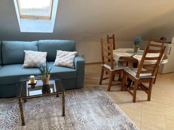 Apartament pod lasem