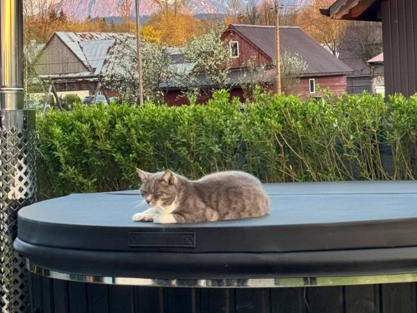 Apartament Przy Termach Chocholowskich 