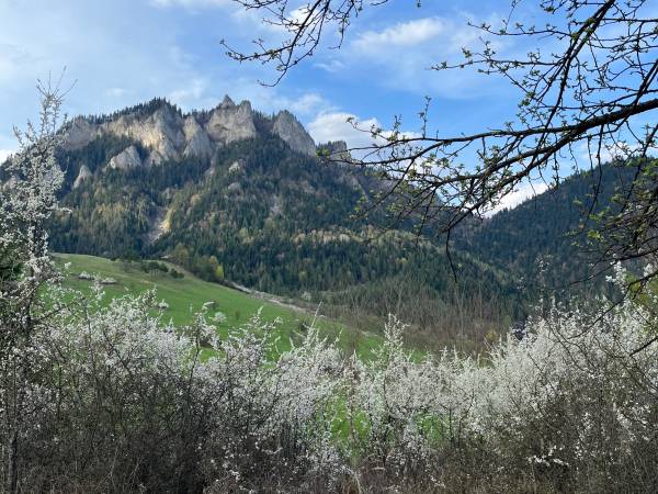 Trzy Korony Apartamenty i Pokoje Gościnne 
