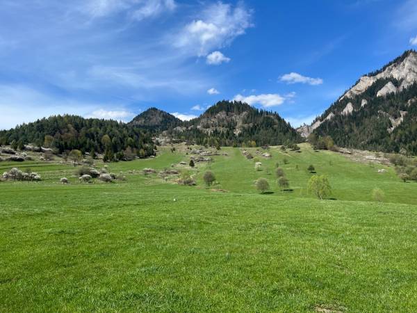 Trzy Korony Apartamenty i Pokoje Gościnne 