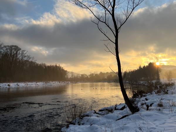 Trzy Korony Apartamenty i Pokoje Gościnne 