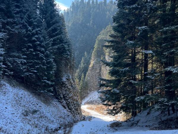 Trzy Korony Apartamenty i Pokoje Gościnne 