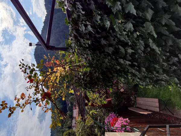 Pokoje u Lucy - Lucyny