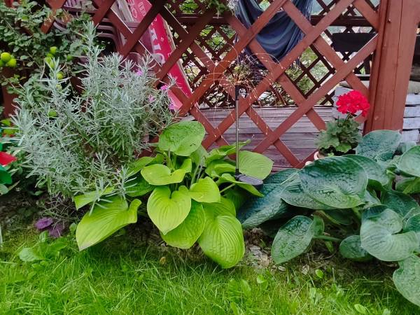 Pokoje u Lucy - Lucyny