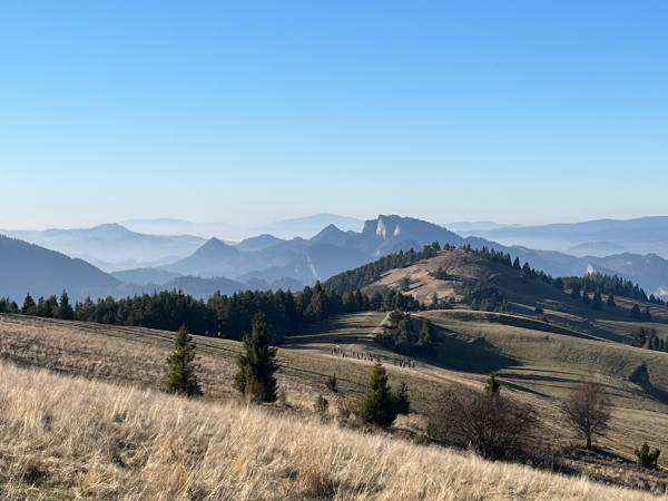 Trzy Korony Apartamenty i Pokoje Gościnne 