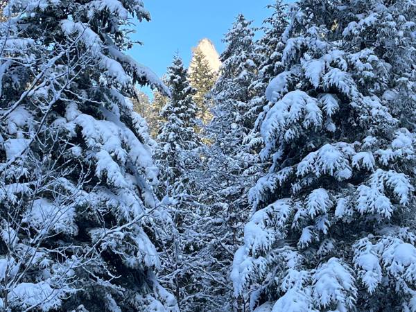 Trzy Korony Apartamenty i Pokoje Gościnne 