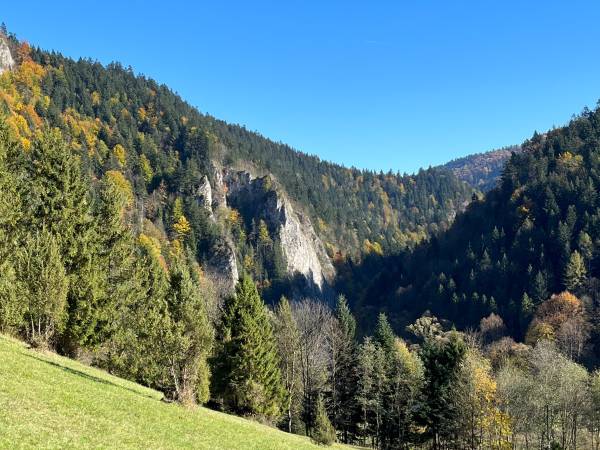 Trzy Korony Apartamenty i Pokoje Gościnne 