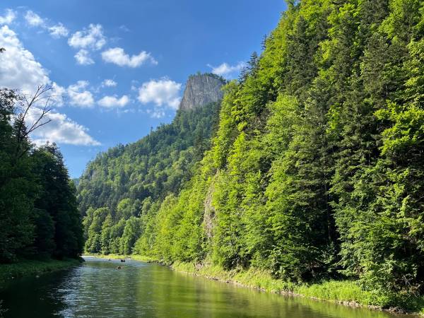 Trzy Korony Apartamenty i Pokoje Gościnne 
