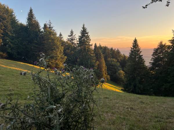 Trzy Korony Apartamenty i Pokoje Gościnne 