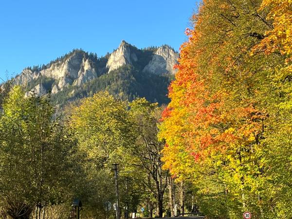Trzy Korony Apartamenty i Pokoje Gościnne 