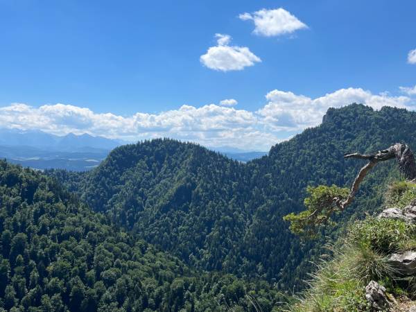 Trzy Korony Apartamenty i Pokoje Gościnne 