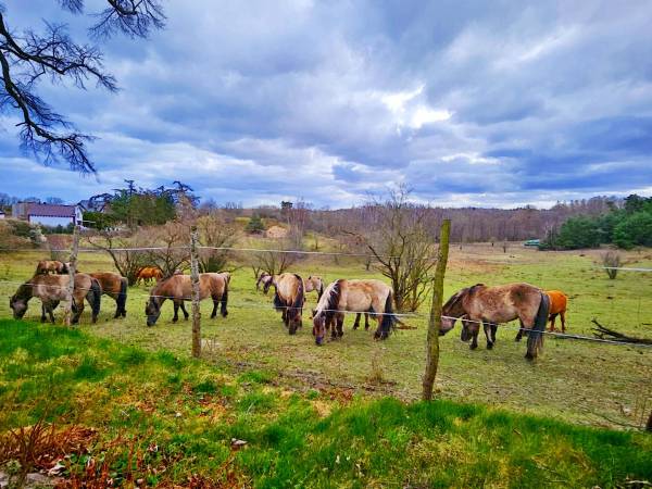 Nadmorska Osada Wakacje Nad Morzem