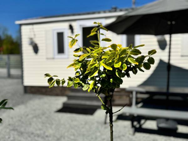 Noclegi Na Polnych Domach