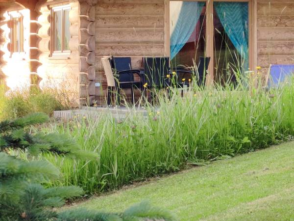 U Kasprzyckich Pokoje i Drewniany Domek 