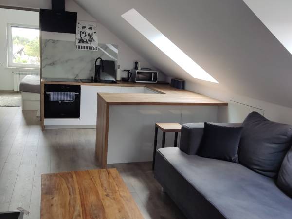 aneks z salonem apartament