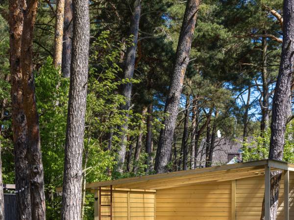 Apartamenty Szumimorze