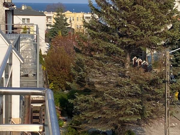 Pokoje Gościnne i Apartamenty