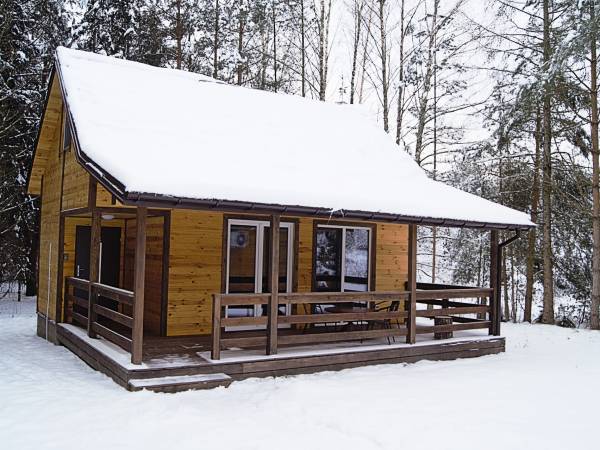 Zagajnik Białowieża