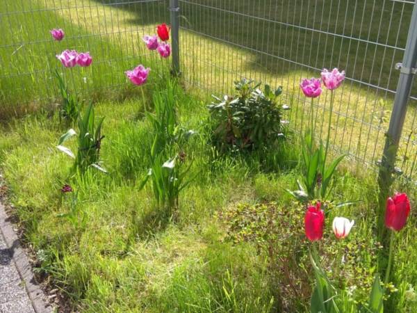 Apartament Morski GG z Tarasem