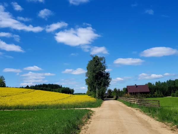 Domki w Agroturystyce Pod Lipą
