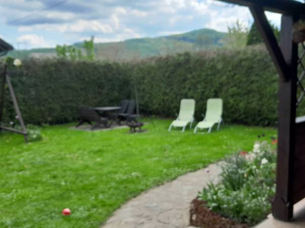 ogródek widok ogólny