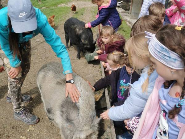 Agroturystyka-Zagroda Studzienno