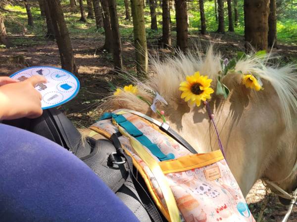 Agroturystyka-Zagroda Studzienno