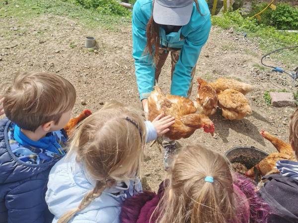 Agroturystyka-Zagroda Studzienno