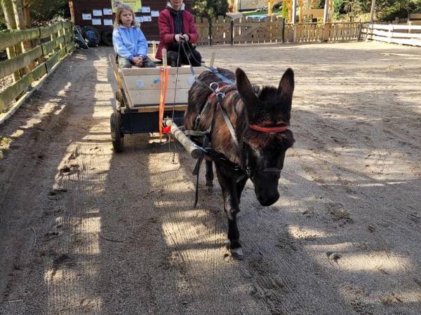 Agroturystyka-Zagroda Studzienno