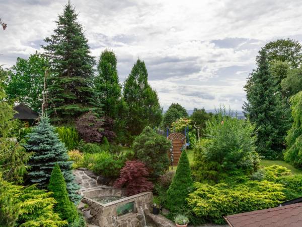 Oczko wodne - kaskada ogro