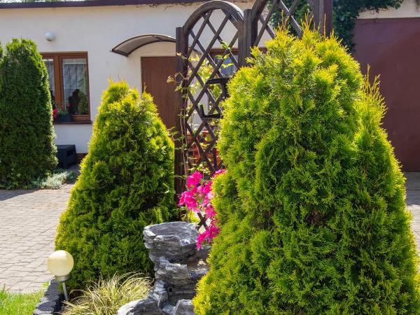 Dom Gościnny Bursztyn