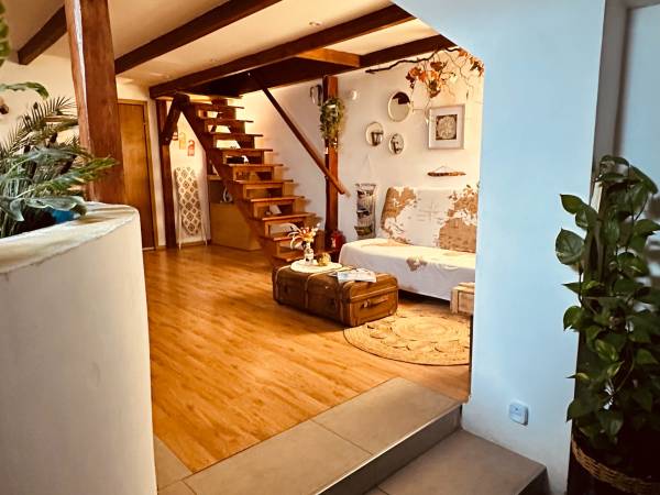 Pokoje Gościnne Pod Świerkami